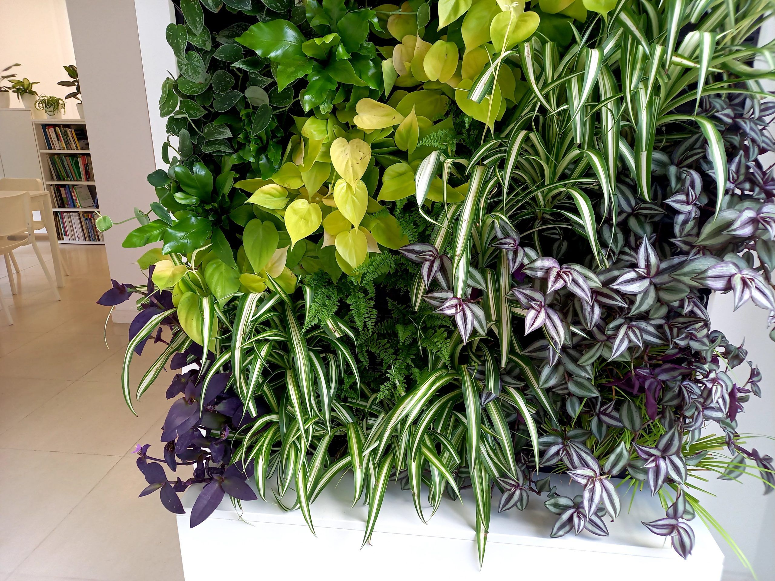 Jardin vertical