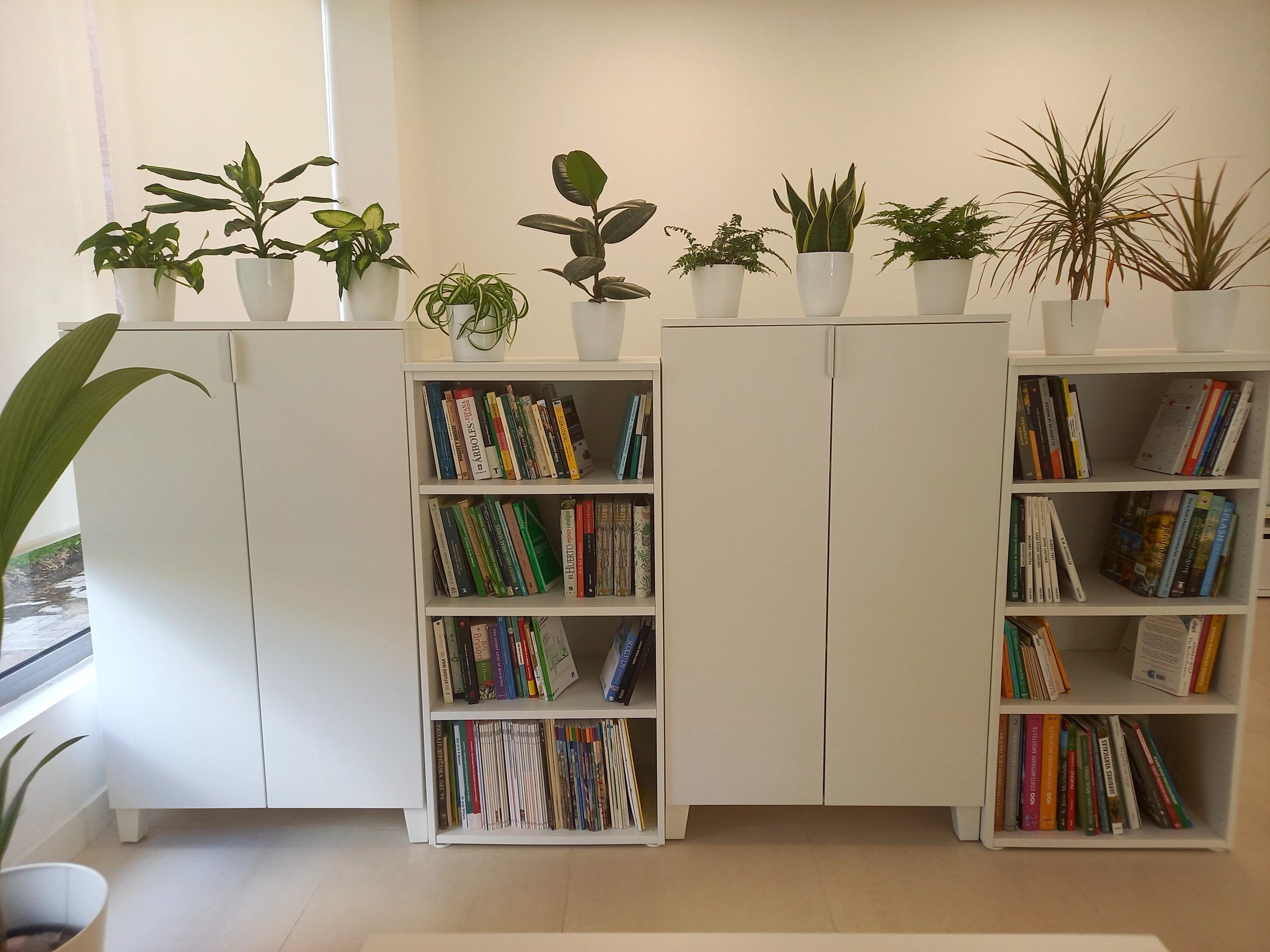 Estudio estanteria