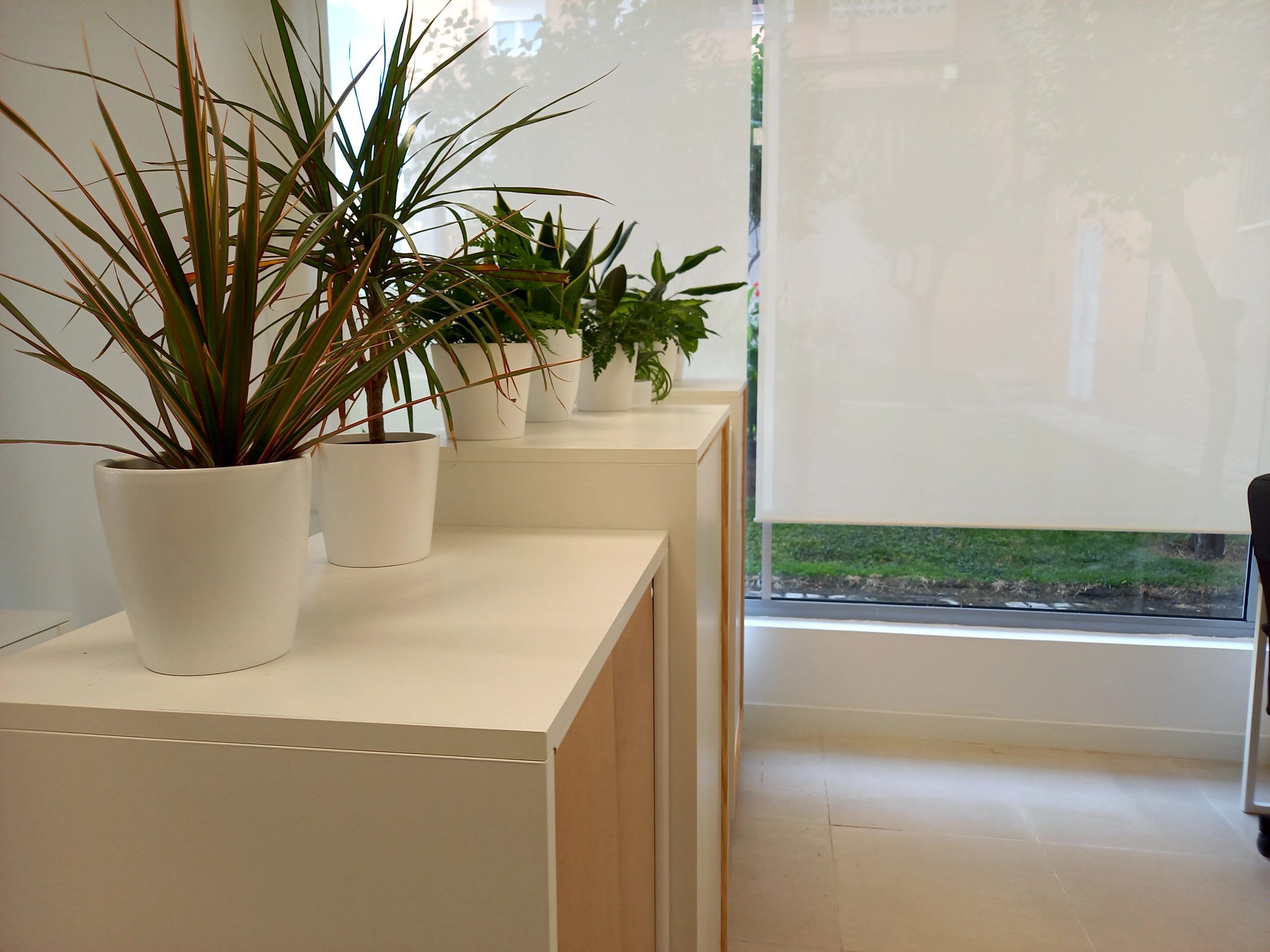 Estudio detalle