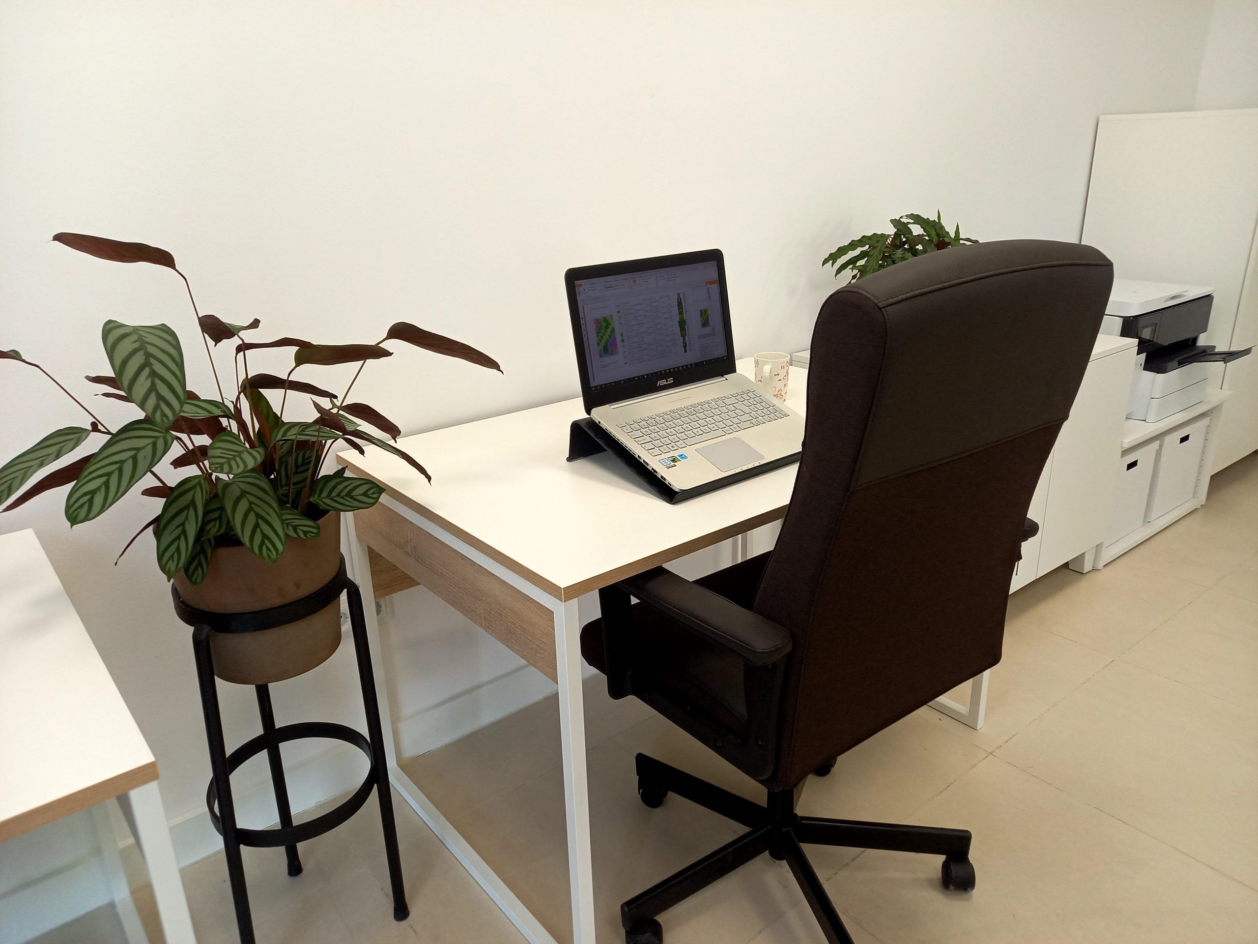 Estudio zona trabajo