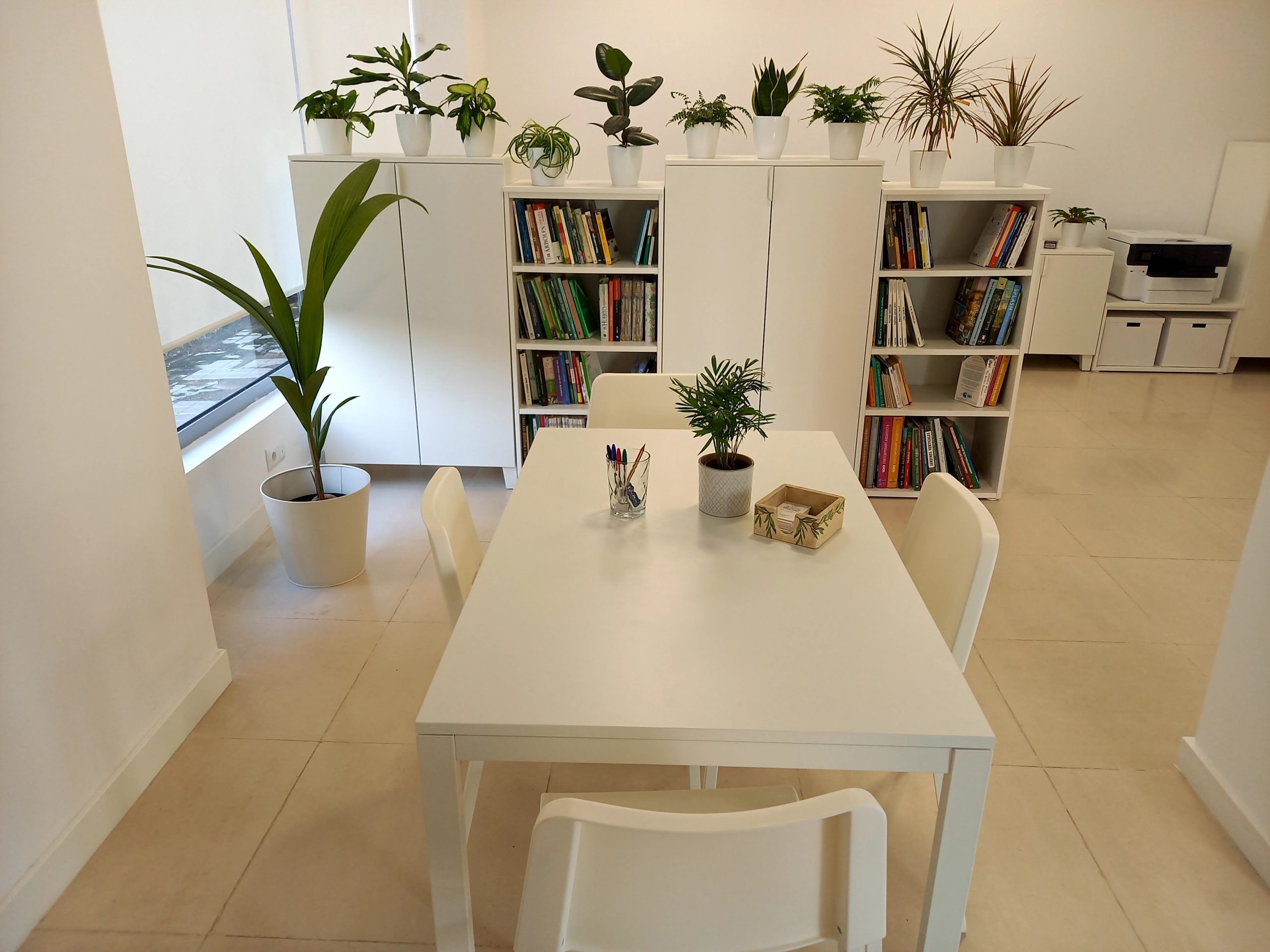 Estudio interior